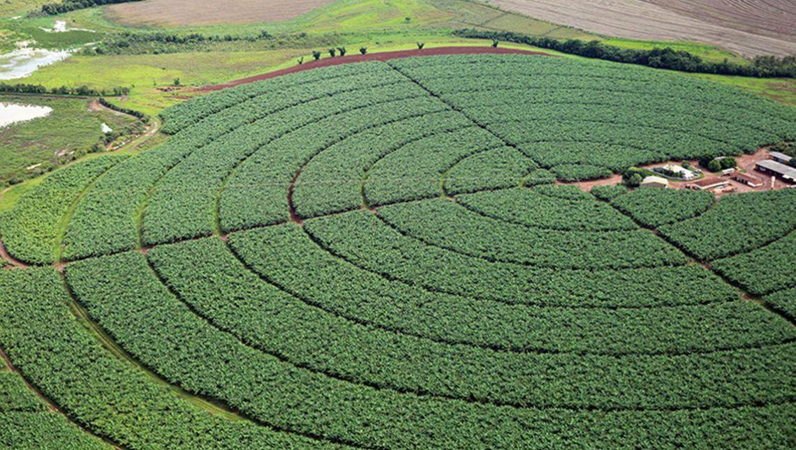 Senado aprova MP que aumenta garantias para setor agro captar recursos