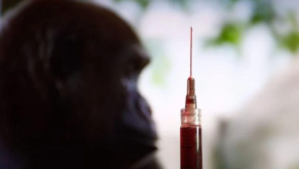 Avanço da varíola dos macacos no Brasil é “muito preocupante”, diz OMS