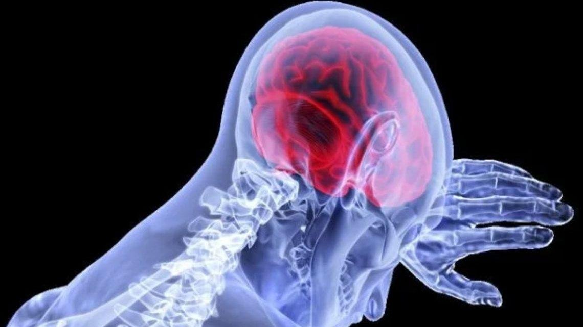 Cientistas apontam 7 hábitos para evitar AVC. Saiba quais Cientistas apontam 7 hábitos para evitar AVC. Saiba quais