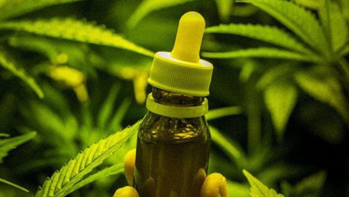 Entidades goianas repudiam cartilha do governo federal contra maconha medicinal