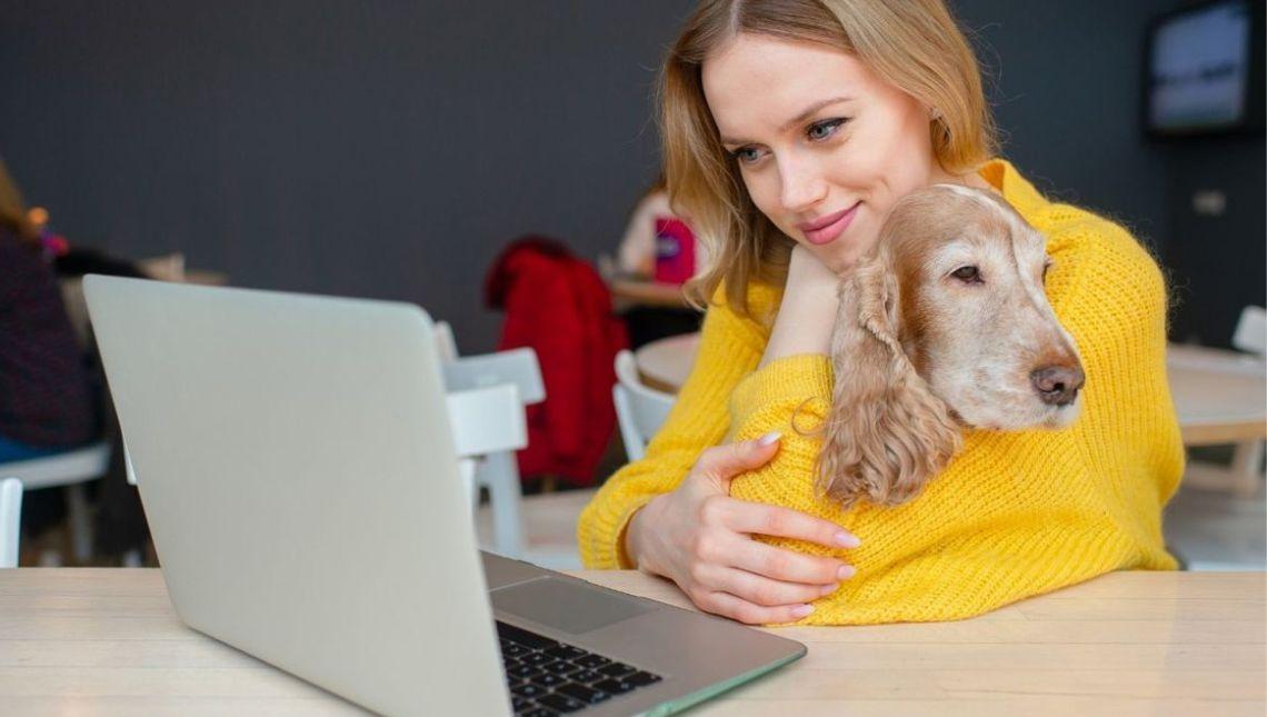 Já pensou em levar seu pet para o trabalho Veja quais os benefícios