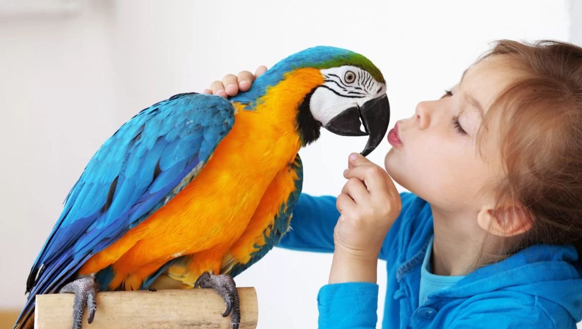 Os 9 melhores animais de estimação para crianças