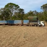 cotação agronegocio jataí plantação colheita carreta