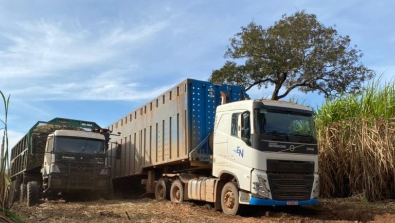 cotação agronegocio jataí plantação colheita carreta expresso