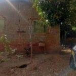 Homem é preso por matar cães para consumir a carne, em Aparecida (GO)
