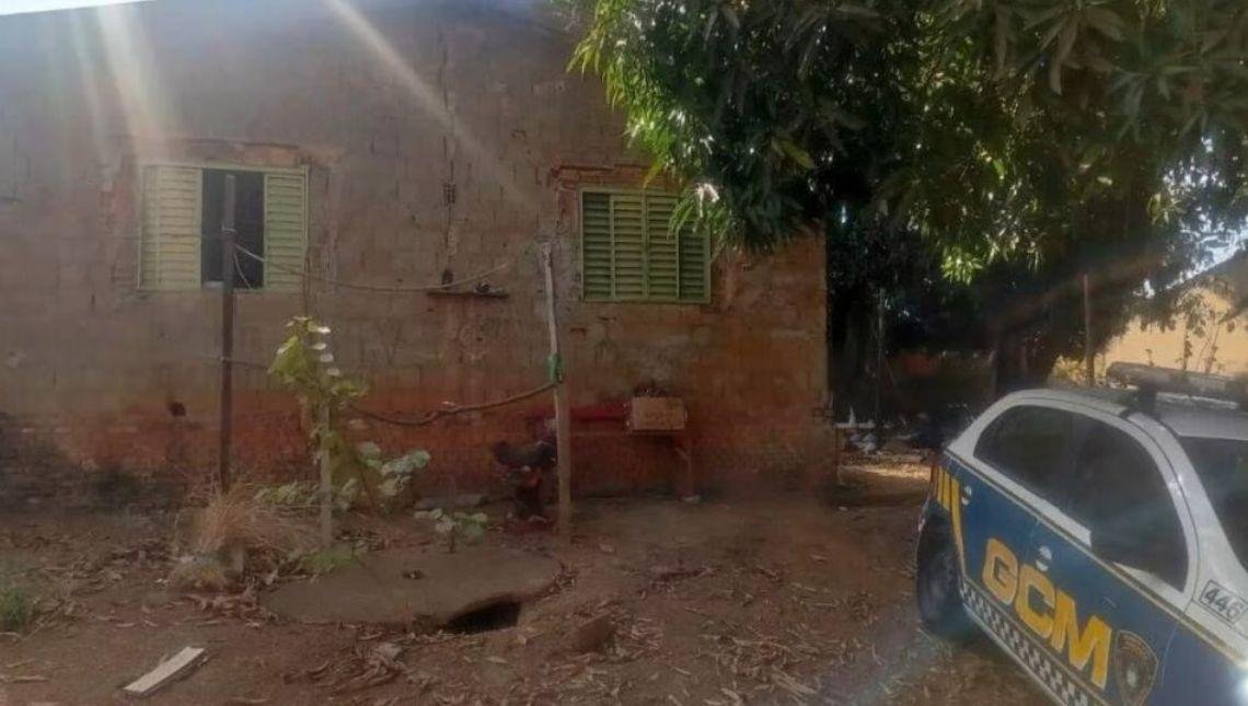 Homem é preso por matar cães para consumir a carne, em Aparecida (GO)