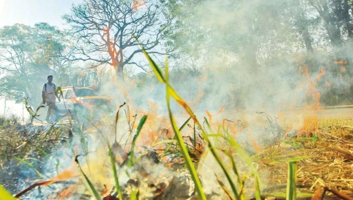 Seca faz Goiás entrar em situação de emergência