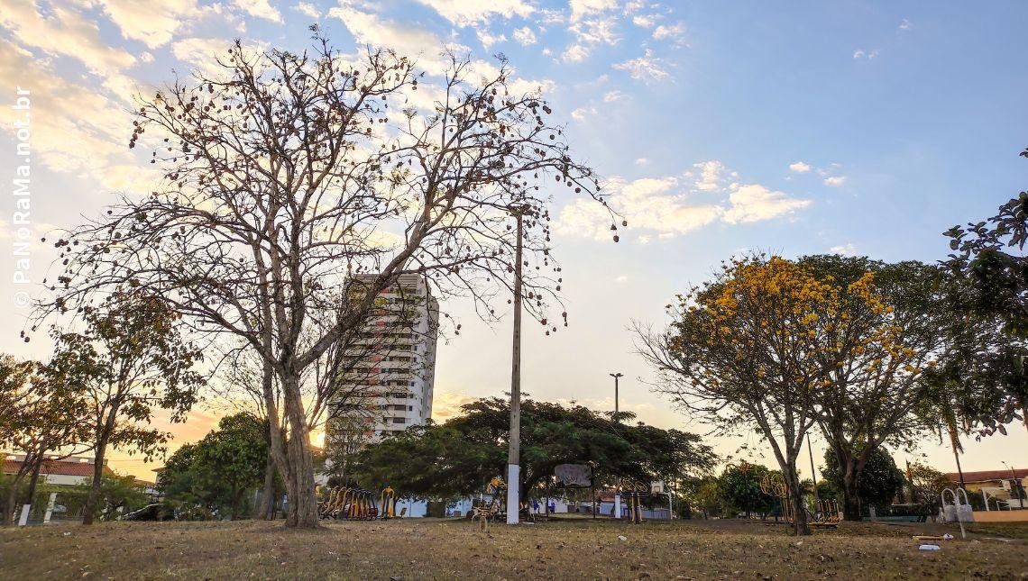 clima tempo previsão jataí goiás praça ceu azul fim de tarde arvores ype amarelo predio