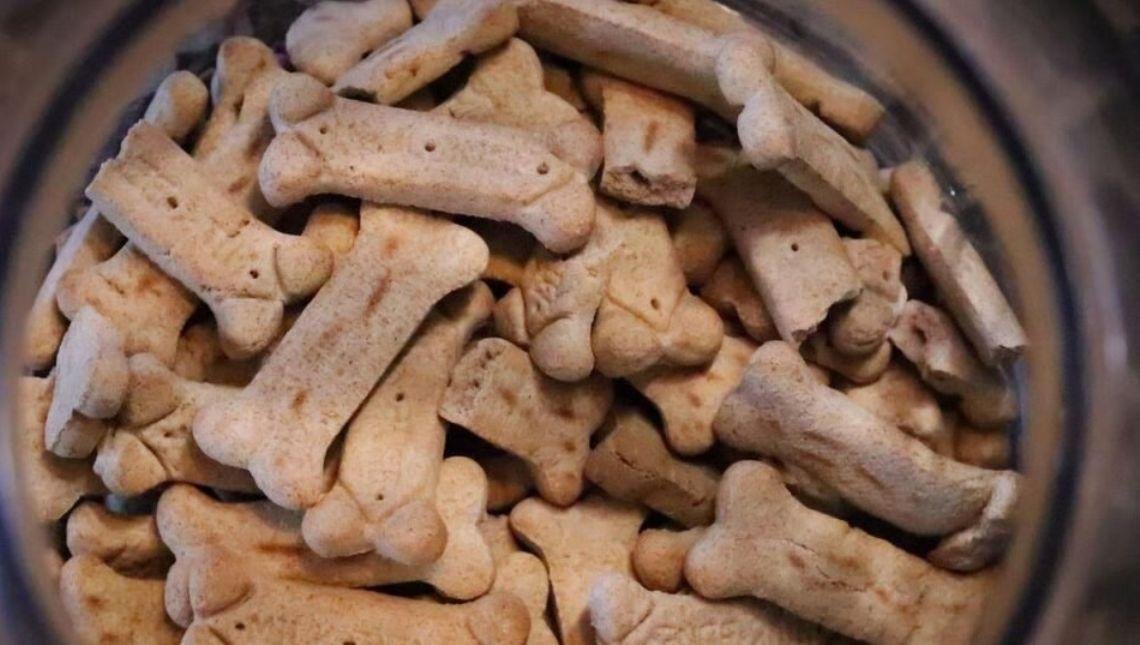 Sobe para três número de cães mortos por suspeita de petisco contaminado em Goiás