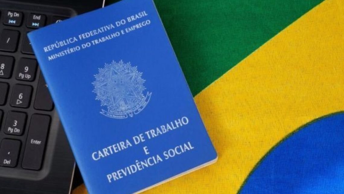 emprego carteira de trabalho goiás