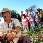 Aberta as inscrições para agricultores familiares que queiram vender produção para merenda escolar