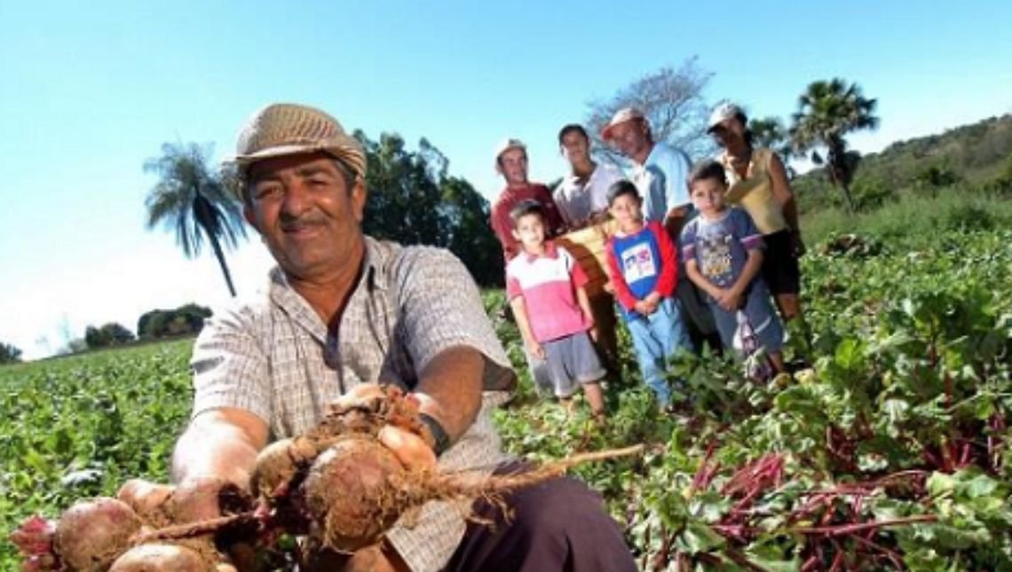 Aberta as inscrições para agricultores familiares que queiram vender produção para merenda escolar