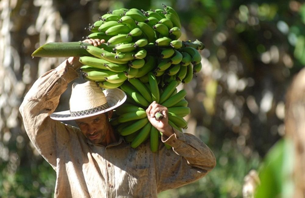 Agricultura familiar será isenta do Fundo de Infraestrutura