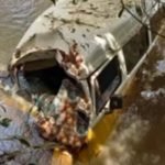 Kombi com quatro crianças cai de ponte na GO-333