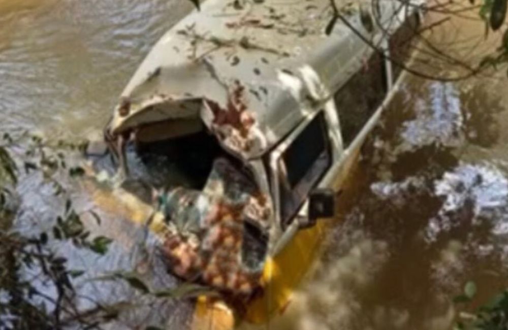 Kombi com quatro crianças cai de ponte na GO-333