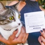 Vacinação antirrábica animal continua em Jataí