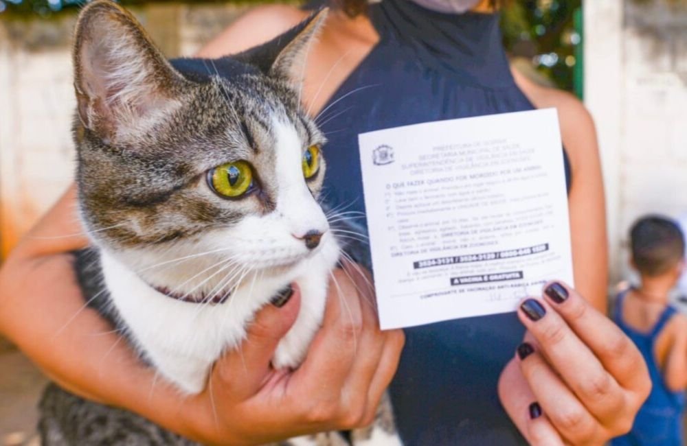 Vacinação antirrábica animal continua em Jataí