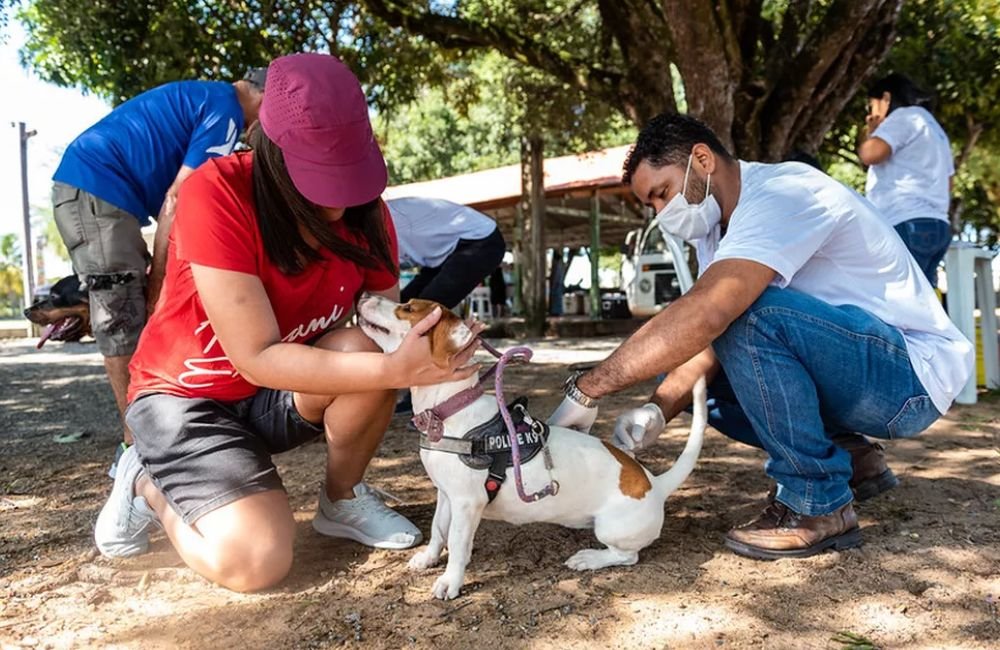 Vacinação antirrábica animal continua neste sábado