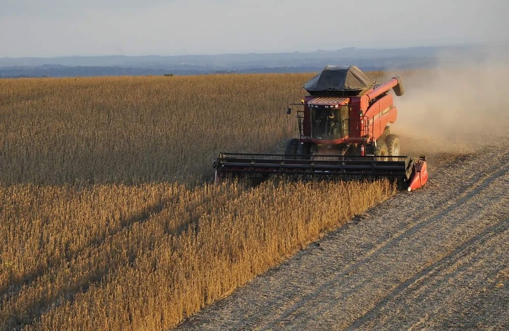 IBGE: 32% dos solos do país têm potencial natural para a agricultura