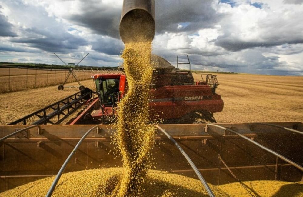 Agronegócio colheita maquina agrícola milho soja