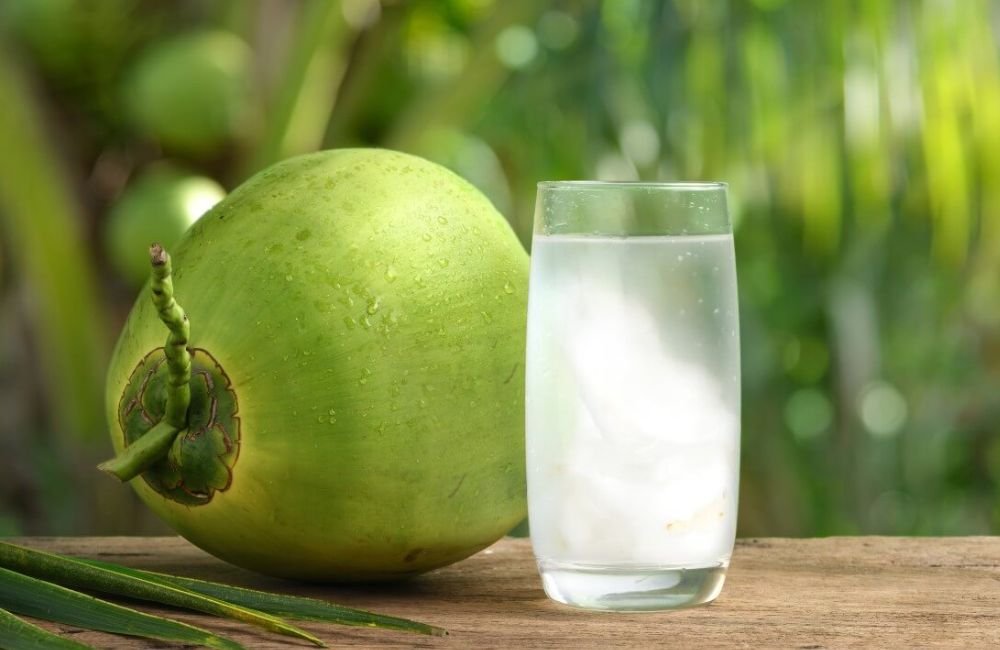 Água de coco é melhor opção para se hidratar após os treinos? Entenda