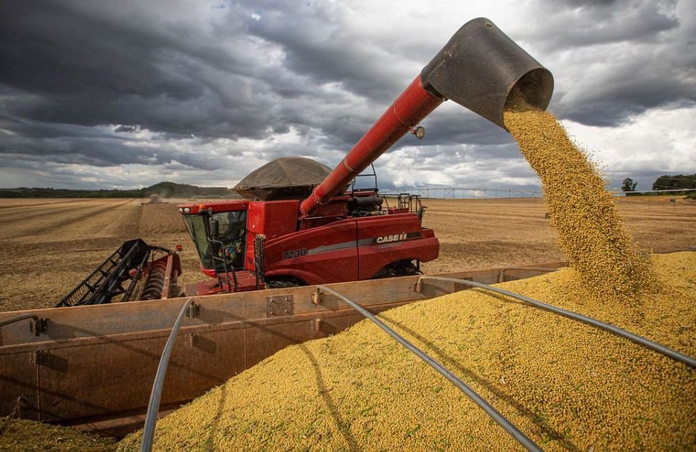 Safra agrícola deverá superar 318 milhões de toneladas neste ano