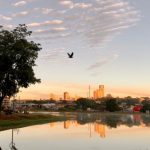 CLIMA TEMPO PREVISÃO JATAÍ GOIÁS LAGO JK ARVORES PASSARO