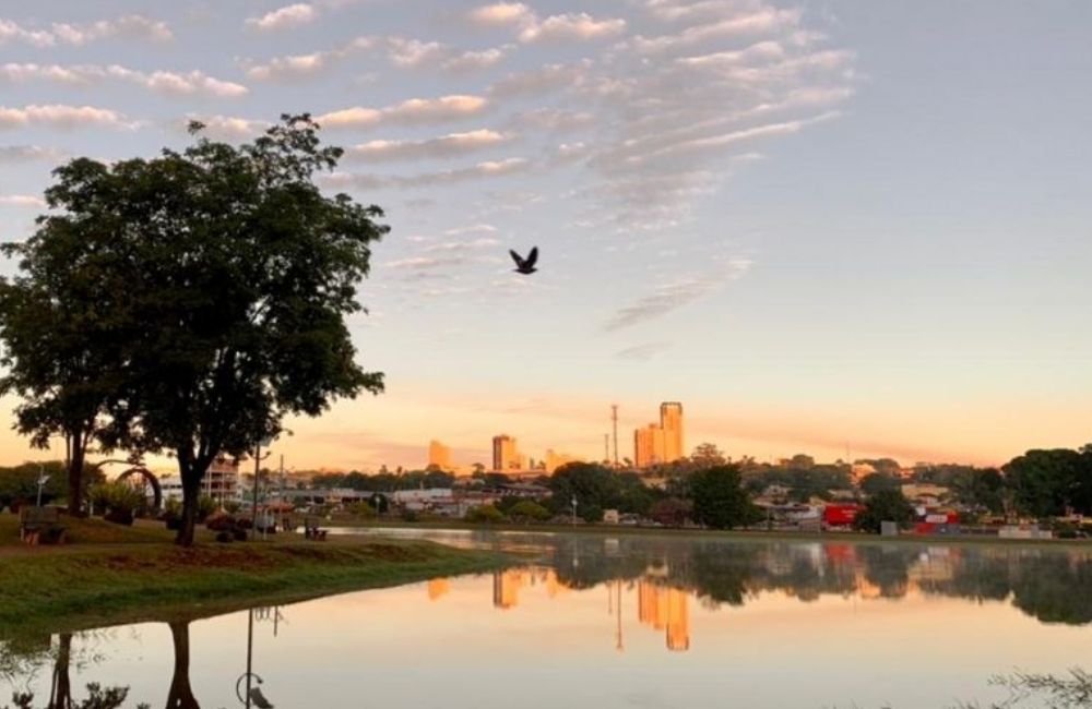 CLIMA TEMPO PREVISÃO JATAÍ GOIÁS LAGO JK ARVORES PASSARO