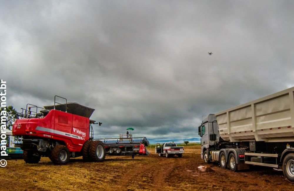 Jataí | Principais cotações do agronegócio – 23 de agosto de 2023
