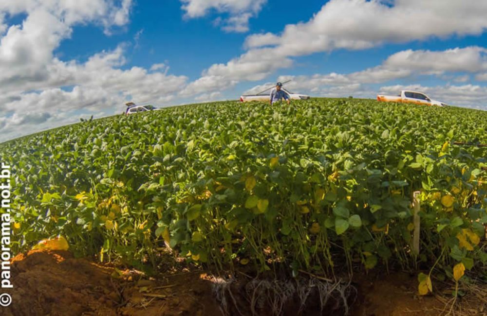 Cotação Agronegocio Drone Dia de Campo Cidade Jataí Goiás