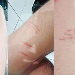 Lei determina prevenção ao suicídio em escolas de Goiás