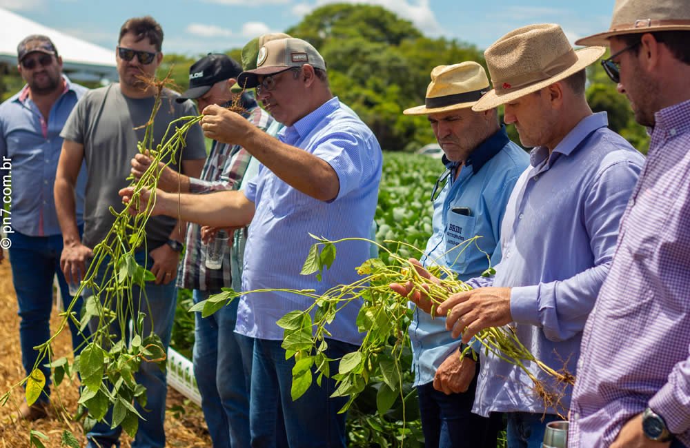 VÍDEO: W.A. Consultoria Agrícola realiza dia de campo para apresentação de novas tecnologias