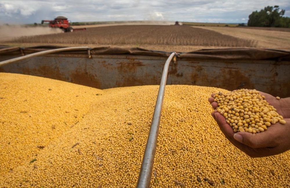 Jataí | Principais cotações do agronegócio – 11 de setembro de 2023