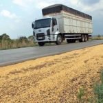 Agrodefesa reforça fiscalização do transporte da soja