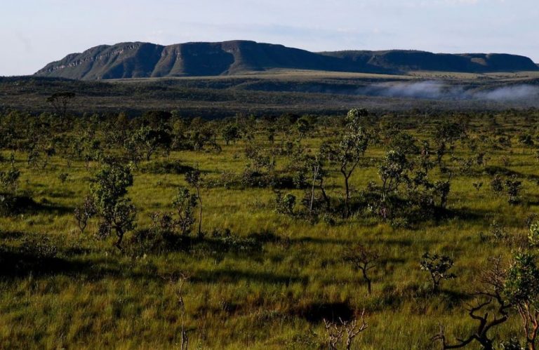 Chapada dos Veadeiros terá festival em 05 cidades da região com preços atrativos