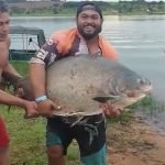 Pescador fisga impressionante caranha no Lago Bonsucesso em Jataí