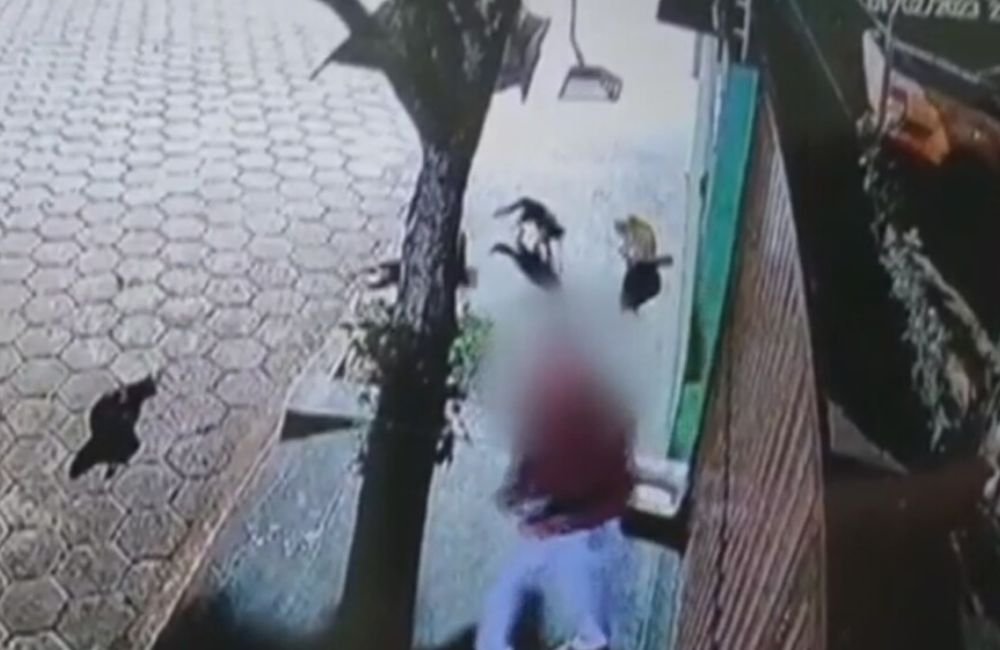 Polícia investiga idoso suspeito de envenenar gatos