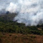 Desmatamento do Cerrado em Goiás aumenta quase 70%; veja cidades com mais alertas de destruição