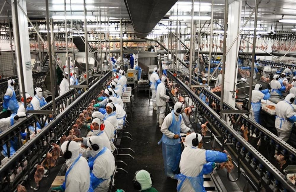 Frigoríficos de Goiás dão férias coletivas após caso da doença da vaca louca no Pará