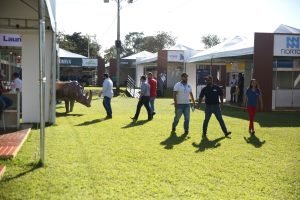 Lançamento da FEINAGRO (3)