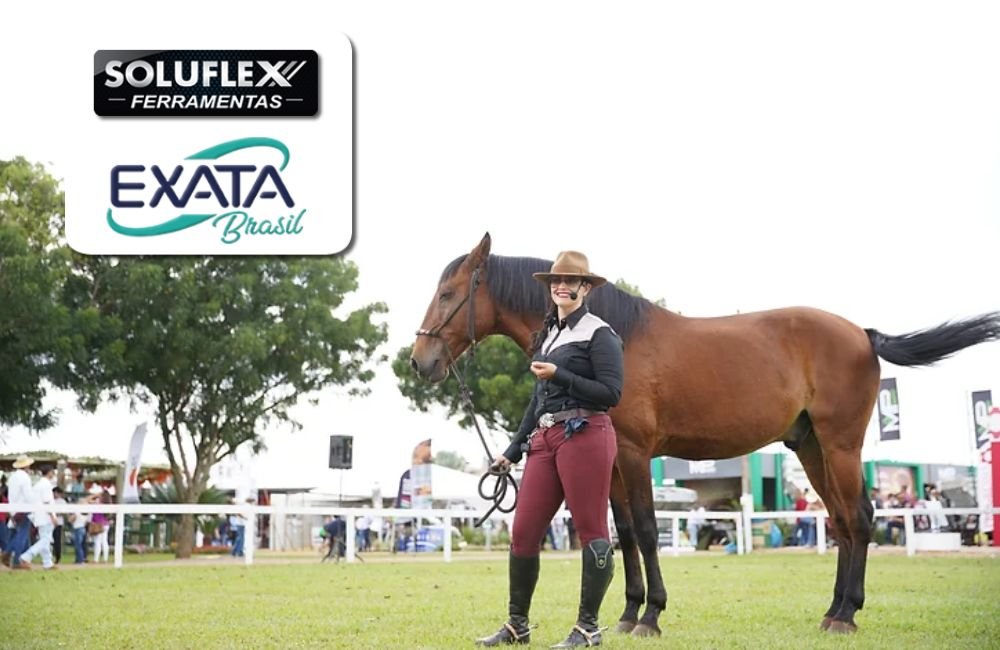 Tecnoshow Comigo realiza dinâmica para mostrar processo de aproximação entre cavalo e cavaleiro