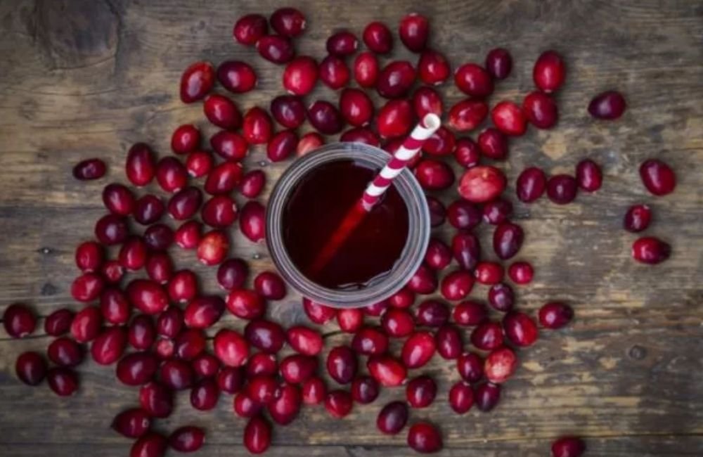 Pesquisa confirma que cranberry ajuda a prevenir infecções urinárias