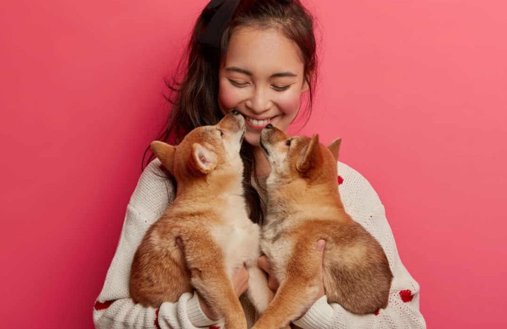 Signos dos pets: descubra a personalidade dos bichinhos de cada signo