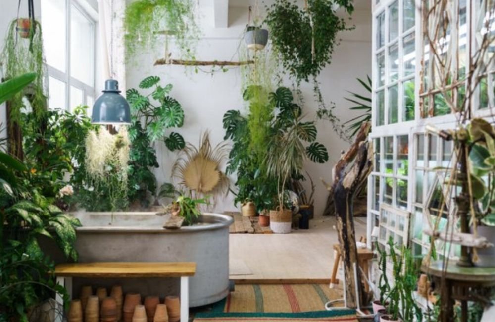 9 dicas para manter o jardim bonito durante o inverno