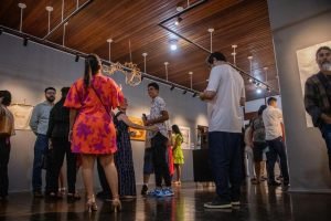 Diversidade Artística do Brasil (1)