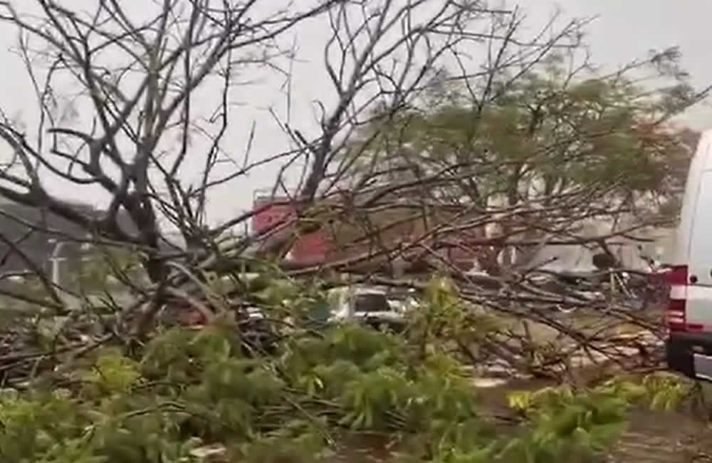 VÍDEO | Forte chuva e granizo causam estragos em agroindústria de Jataí