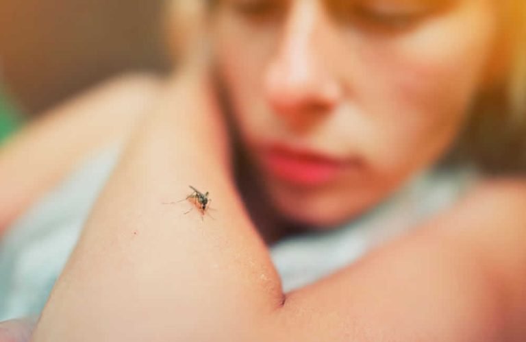 Jataí lidera casos de dengue em Goiás