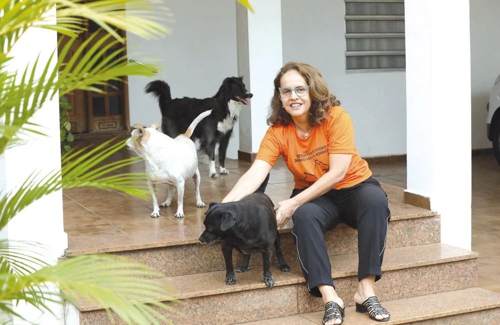 Lei que obriga donos a registrarem cães e gatos em Goiás é aprovada pela Assembleia