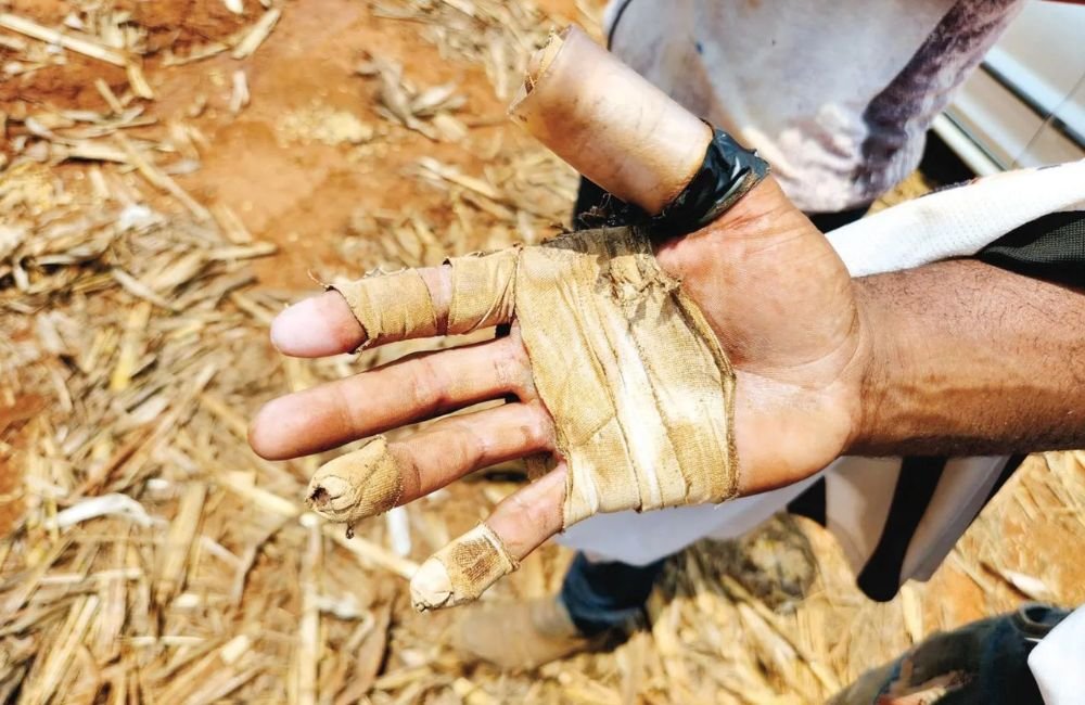 37 empresas de Goiás estão em lista suja do trabalho escravo