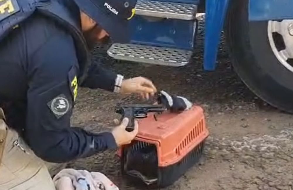 Caminhoneiro esconde arma de fogo em casinha de cachorro e é preso pela PRF